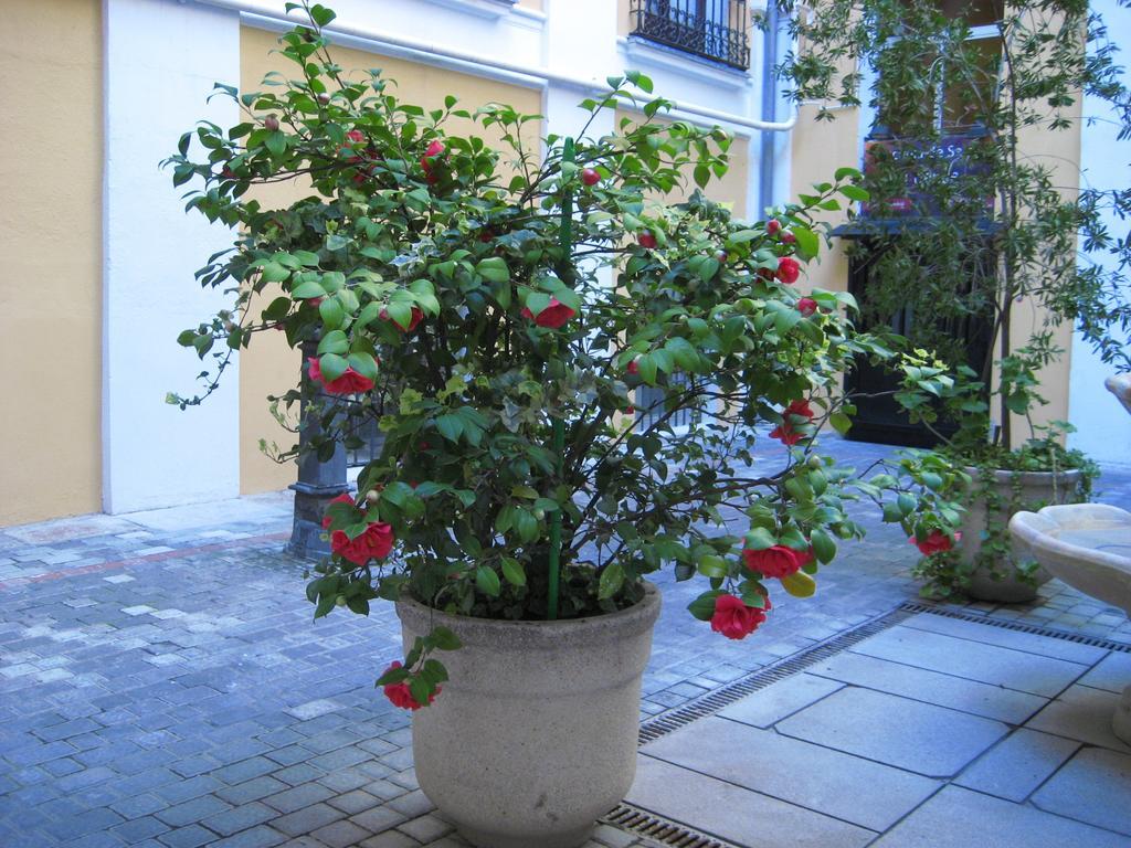 Hostal Huespedes Toledo Madrid Exterior foto