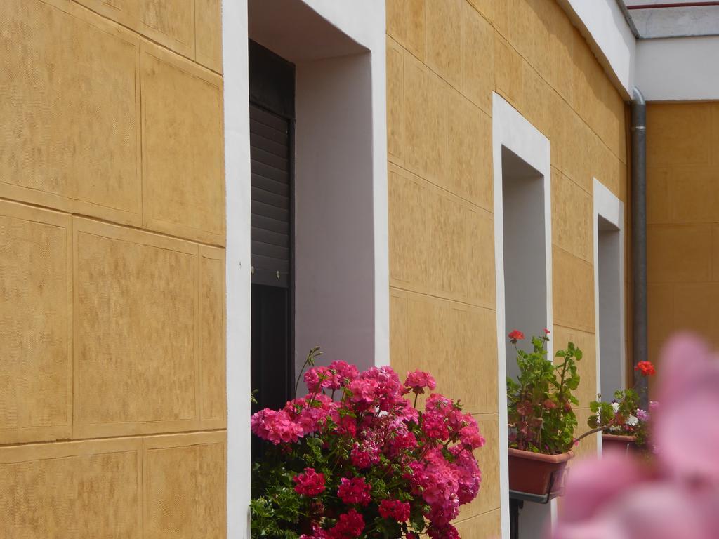 Hostal Huespedes Toledo Madrid Exterior foto