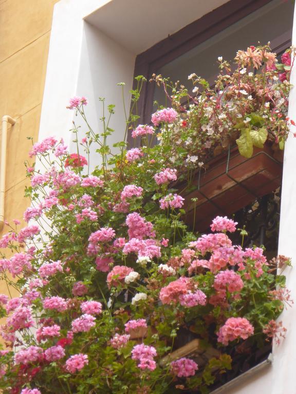Hostal Huespedes Toledo Madrid Exterior foto